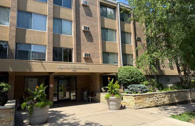 Lovely Lowry Hill 1 Bedroom Condo