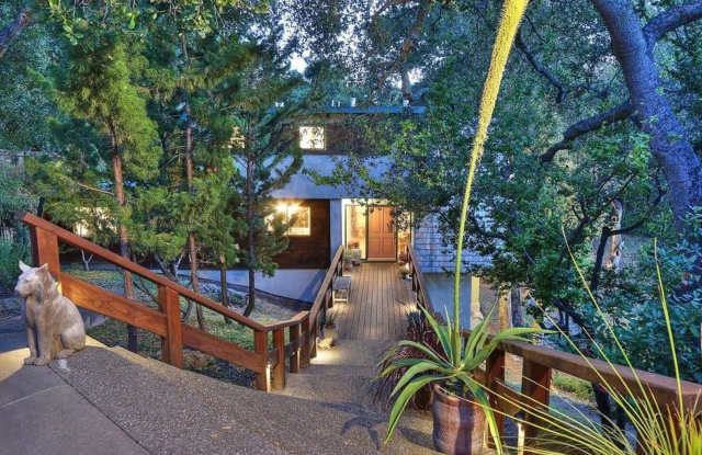 Executive Los Gatos Estate with Sweeping Views! photos photos