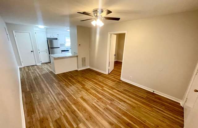 1 Bedroom/1 Bath Duplex Unit Available for Rent in Brandon!