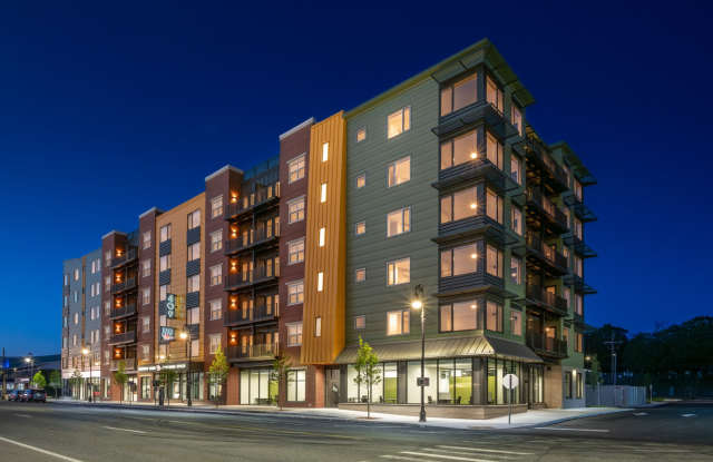 Photo of Red Oak at 409 Elm Street