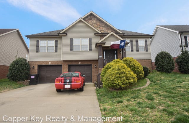 1290 Snowball Lane - 1290 Snowball Lane, Clarksville, TN 37042