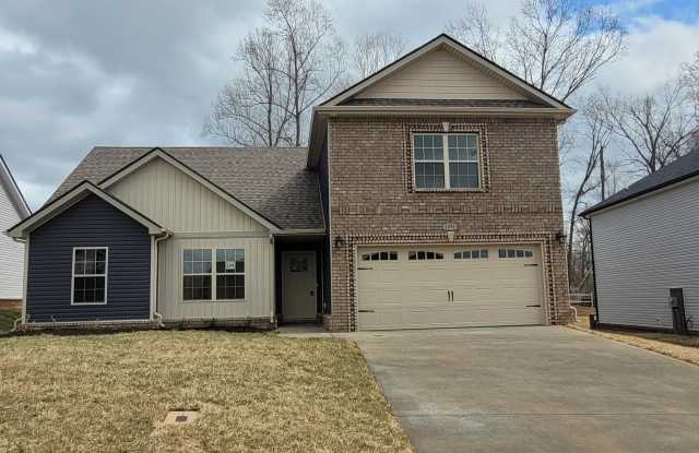1098 Whitney Dr - 1098 Whitney Drive, Clarksville, TN 37042