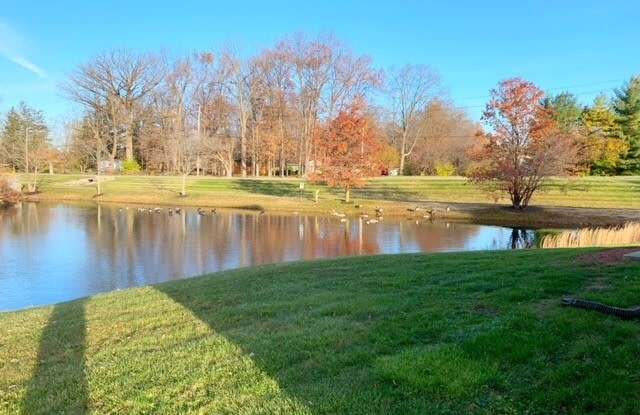 4532 Golden Meadow Court