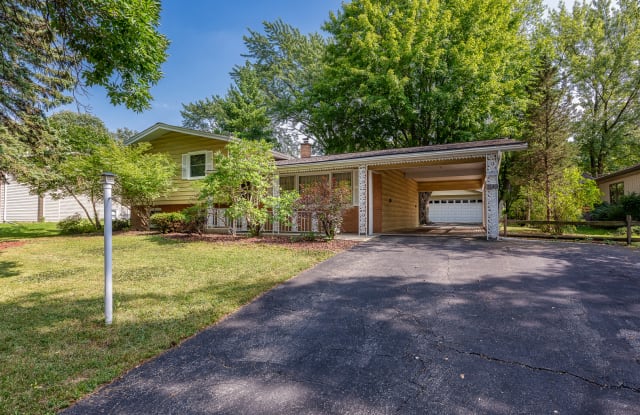 1148 Jane Avenue - 1148 Jane Avenue, Naperville, IL 60540