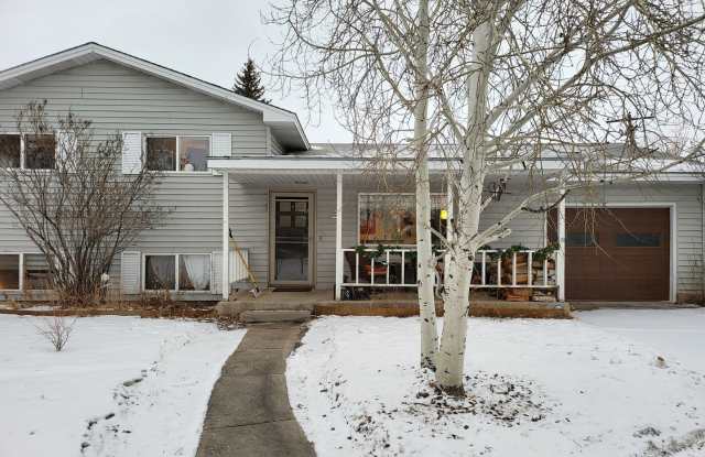 2 Irwin St. - 2 Irwin Street, Gunnison, CO 81230