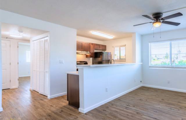 147 Boynton Boulevard #221