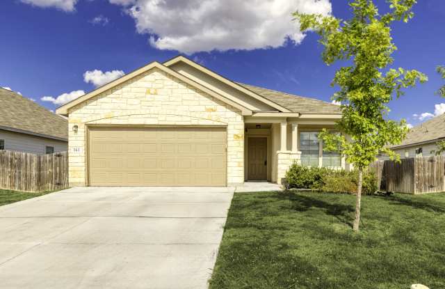 Photo of 161 Sambar Main