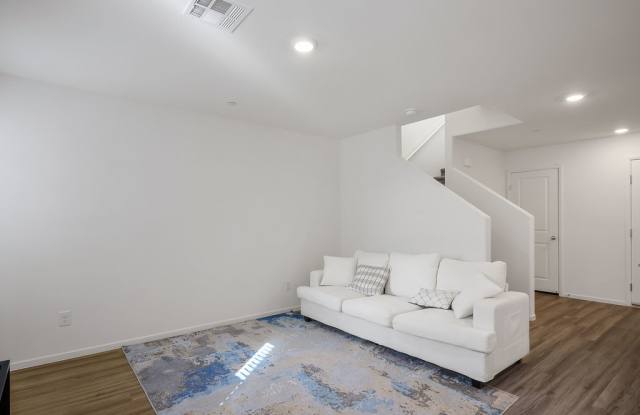 9911 Dandelion Hills St