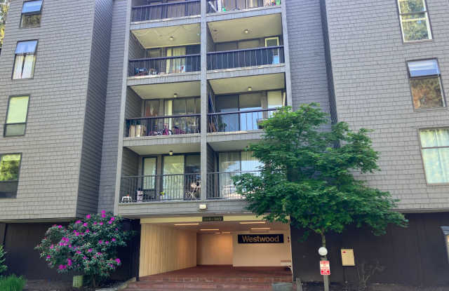 Fully Renovated Redmond 1 Bedroom