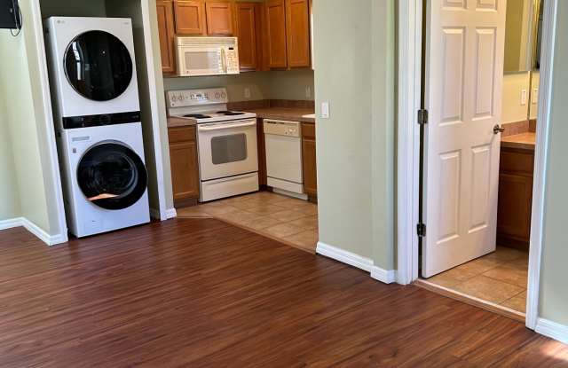 14225 Confetti Drive