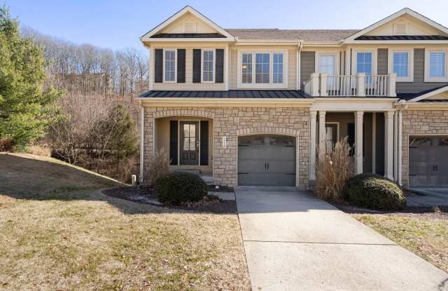 1112 Woodbury Falls Court - 1