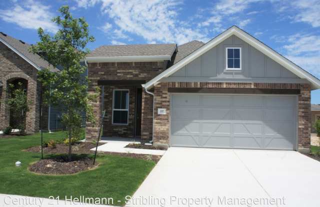 217 Gidran Trail - 217 Gidran Trl, Williamson County, TX 78626