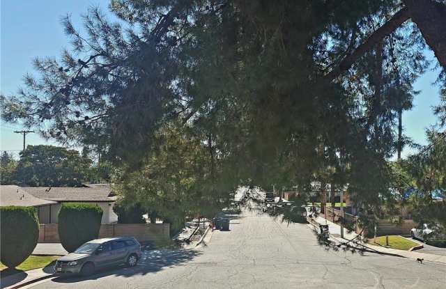 1113 Turquoise Street