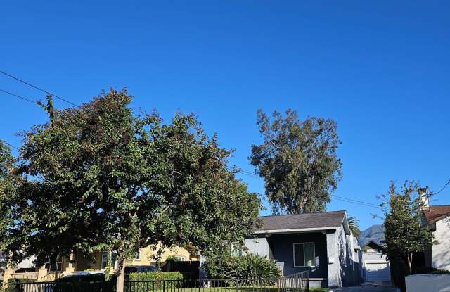 501 MacDonald Street