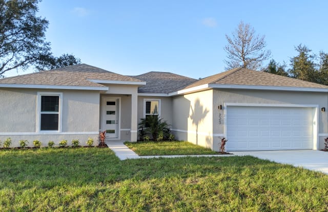 223 Goldenrod Ln - 223 Goldenrod Lane, Poinciana, FL 34759