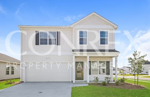 250 Clydesdale Circle - 250 Clydesdale Circle, Berkeley County, SC 29486