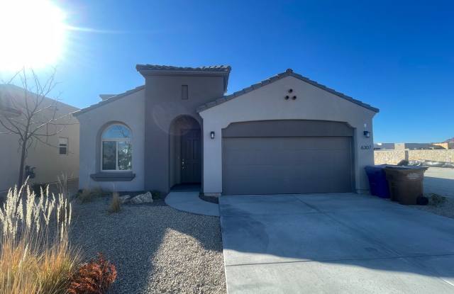 Beautiful Newly Constructed Home in Metro Verde