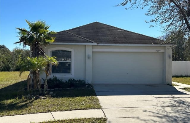 13630 SILVER CHARM COURT - 13630 Silver Charm Court, Riverview, FL 33579