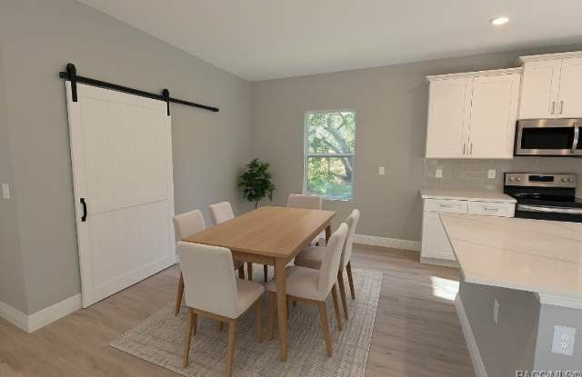 13 Black Willow Street