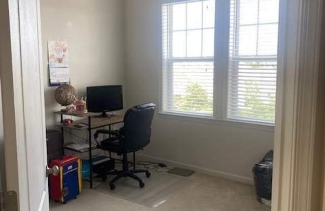 24660 WOOLLY MAMMOTH TERRACE