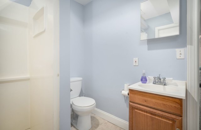 Gorgeous 3 Bedroom Baltimore City Rental Near Stadiums - 1156 Scott Street, Baltimore, MD 21230