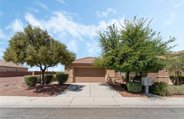 7041 Diver Avenue - 7041 Diver Avenue, North Las Vegas, NV 89084