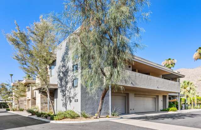 780 E Palm Canyon Drive
