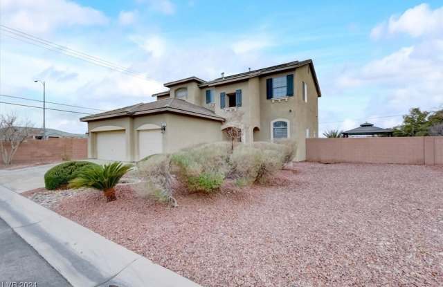 19 Droplet Street - 19 Droplet Street, Sunrise Manor, NV 89110