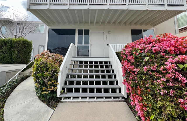 264 Dolphin Way