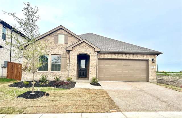 2112 Wheatgrass Way - 2112 Wheatgrass Way, Collin County, TX 75454