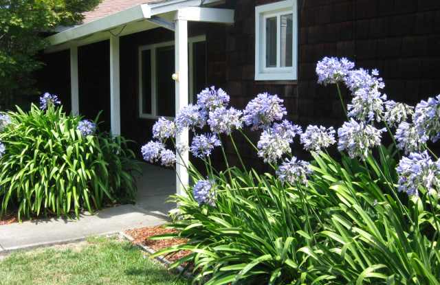 488 Irving Ct