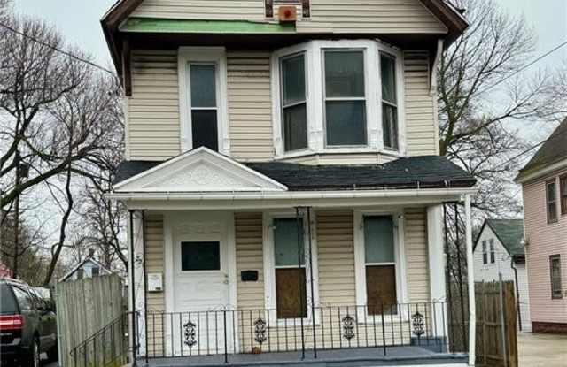 221 Maple Street - 221 Maple Street, Buffalo, NY 14204