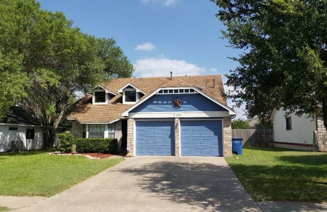 11603 Ruffed Grouse Drive - 11603 Ruffed Grouse Drive, Austin, TX 78758