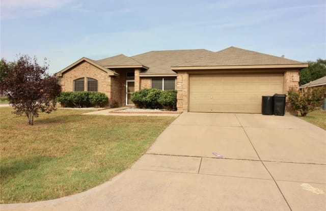 321 Wintergreen Court - 321 Wintergreen Court, Weatherford, TX 76086