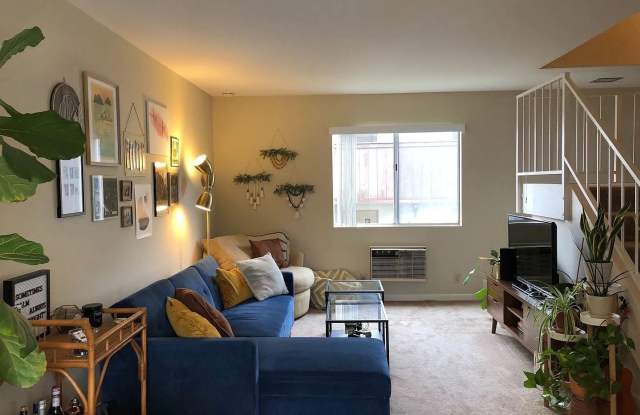 Perfect 2BR in Mission Valley!