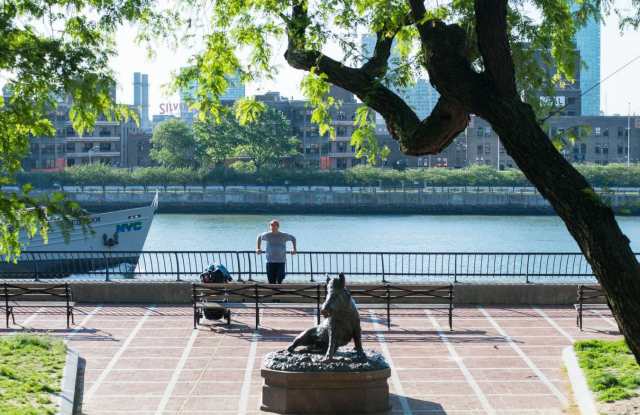 Photo of Sutton Marquis