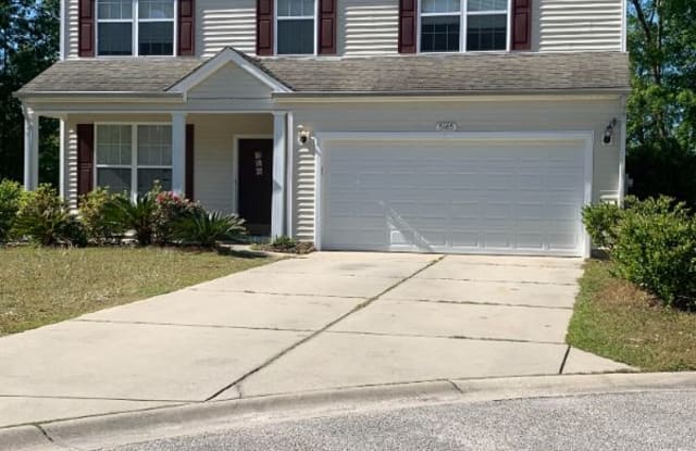 5165 Morning Frost Place - 5165 Morning Frost Place, Horry County, SC 29579