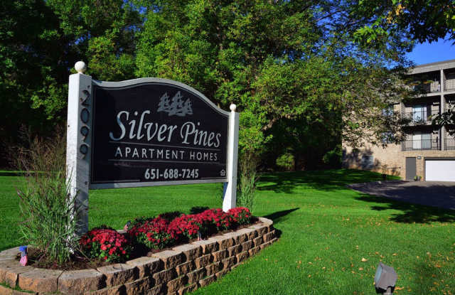 Photo of Silver Pines
