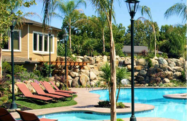 The Palms