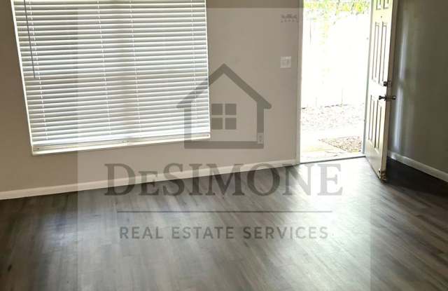 Photo of Palmetto Walk