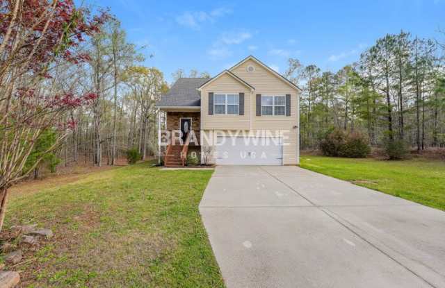 163 Buddy Boulevard - 163 Buddy Boulevard, Henry County, GA 30252