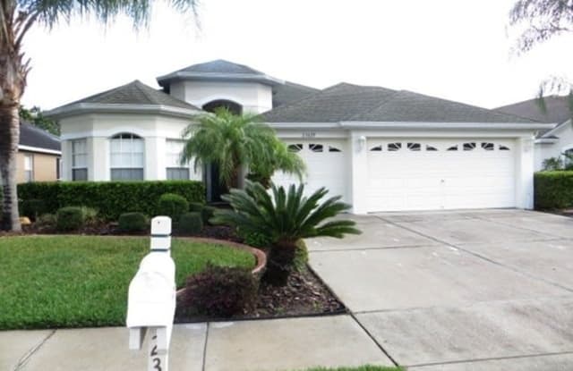 23629 Estero Ct - 23629 Estero Court, Land O' Lakes, FL 34639