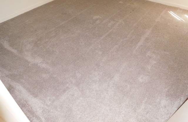 2040 E. Sussex Way, 131