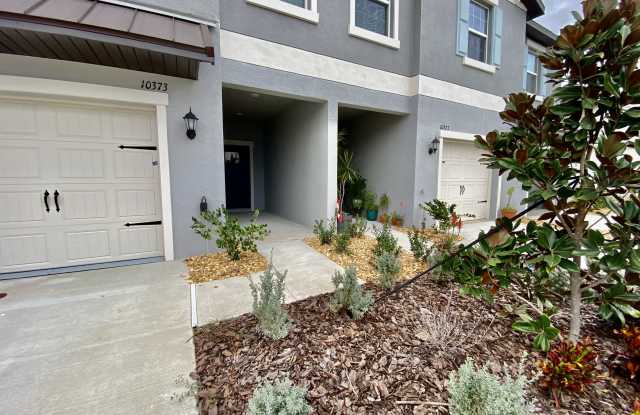 10373 Lavender Aster Trl