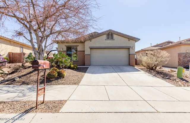 Photo of 12576 N Gentle Rain Drive