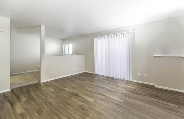 Springs of Country Woods