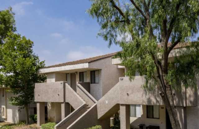 Vista Springs