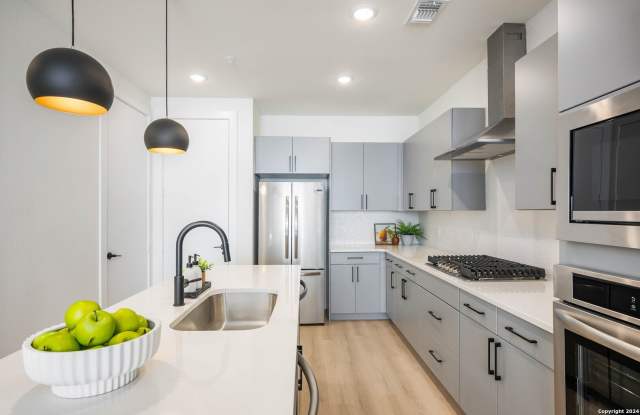 719 E Locust St unit: 3106