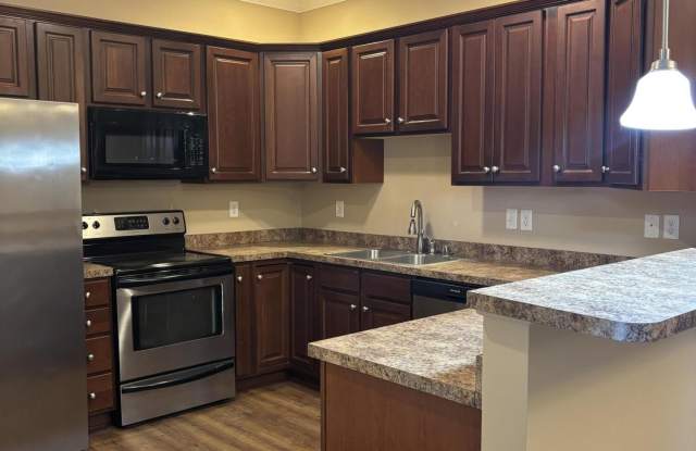 317 Hannah Todd Place unit: 4102