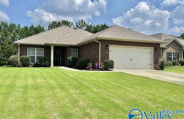 140 Clydesdale Lane - 140 Clydesdale Lane, Harvest, AL 35749